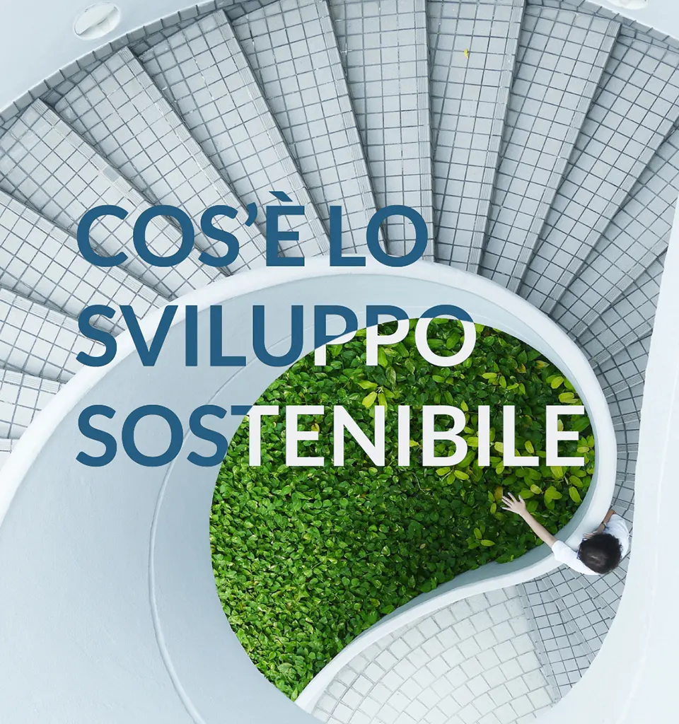 Cos'è lo sviluppo sostenibile e comunicare con la visual identity