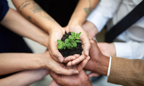 3p sviluppo sostenibile azienda